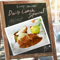 Daily Lunch Special's jacket.