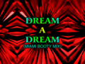 DREAM A DREAM (MIAMI BOOTY MIX)'s DanceDanceRevolution EXTRA MIX background.