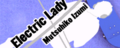 Electric Lady's banner.