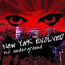 File:New York EVOLVED Wii.png