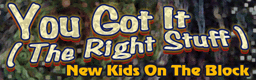 File:You Got It (The Right Stuff) banner.png