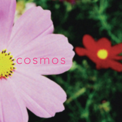 File:Cosmos cover.jpg