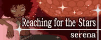 File:Reaching for the Stars banner.png