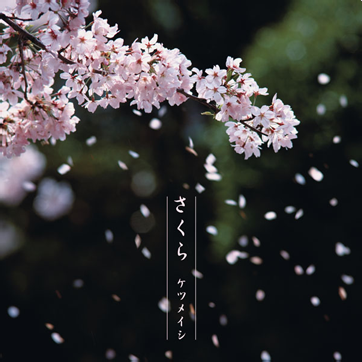 File:Sakura (Ketsumeishi).png