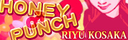 File:HONEY PUNCH US.png