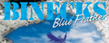 Blue Feather's banner.
