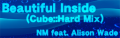 Beautiful Inside (Cube::Hard Mix)'s DanceDanceRevolution X banner.