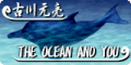 THE OCEAN AND YOU's old banner.