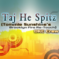 Taj He Spitz (Tommie Sunshine's Brooklyn Fire Re-Touch)'s jacket.